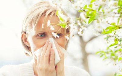 It’s Spring. Pollen is legit. Here’s how to allergy-proof your home.